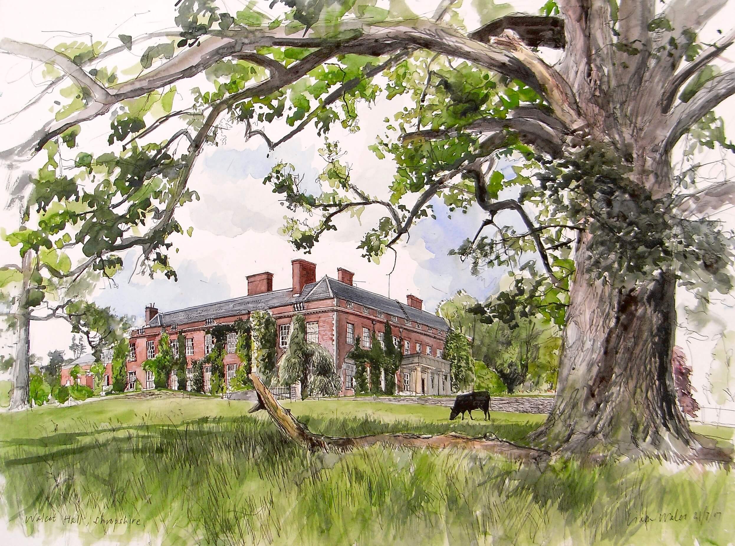 Liam Wales &mdash; House portrait